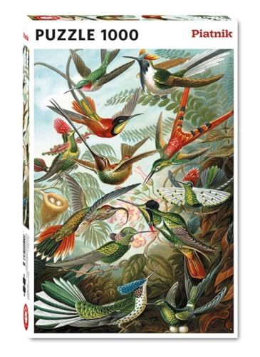 Piatnik 5528 Haeckel Kolibris Puzzle 1 000 pièces