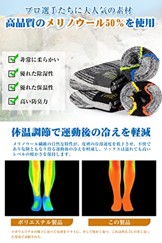 HASOME スキー 靴下 メリノウール スキーソックス 2足セット