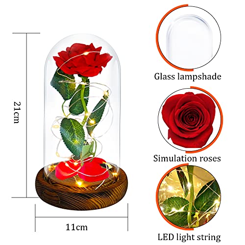 Rosa Eterna,Kit di Rose,La Bella e la Bestia Rose