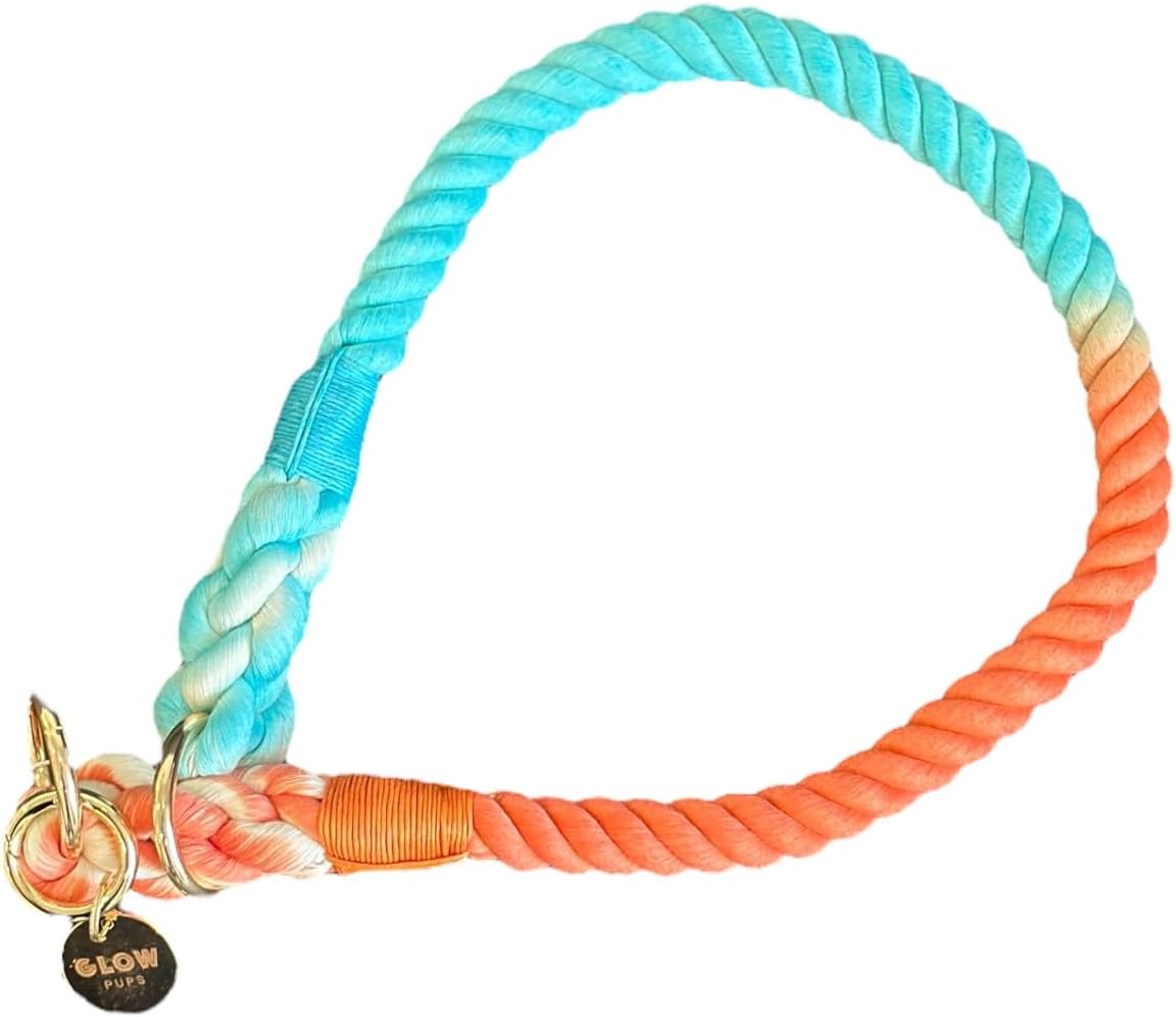 Glow Pups Dog Collar Slip Lead, Handmade Colorful Rope for Medium and Large Dogs, Durable Braided Construction, Stylish Gradient Design, Training Use, Collar Size: 22" (Rainbow, Large)