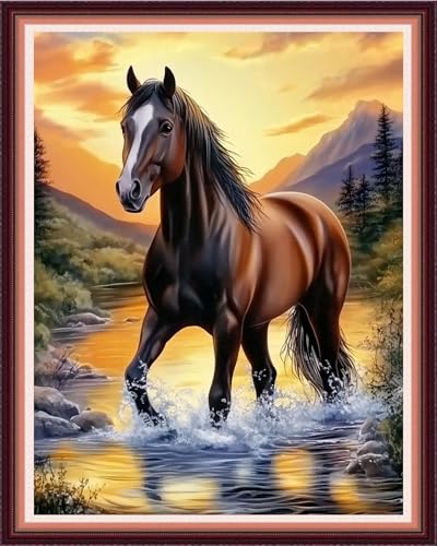 Image of Fanxvivy Stamped Cross Stitch Kits for Beginners Full Range of Cross Stitching Preprinted Embroidery Kits for Adults, 11CT Embroidery Pattern Needlepoint Kits-Sunrise Steed 16x20 inch