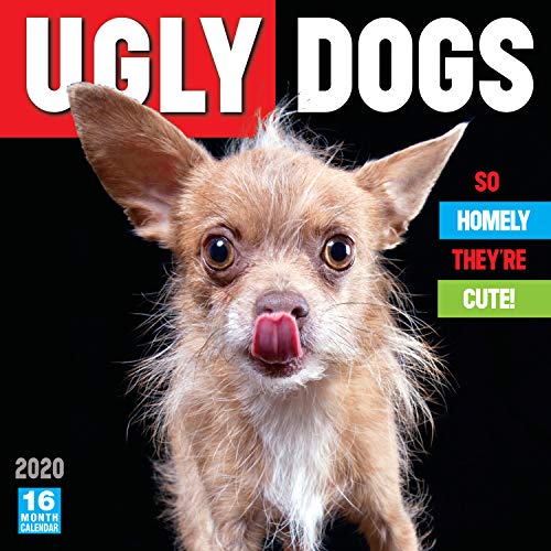 Télécharger Ugly Dogs 2020 Calendar: So Homely Theyre Cute Livre eBook France
