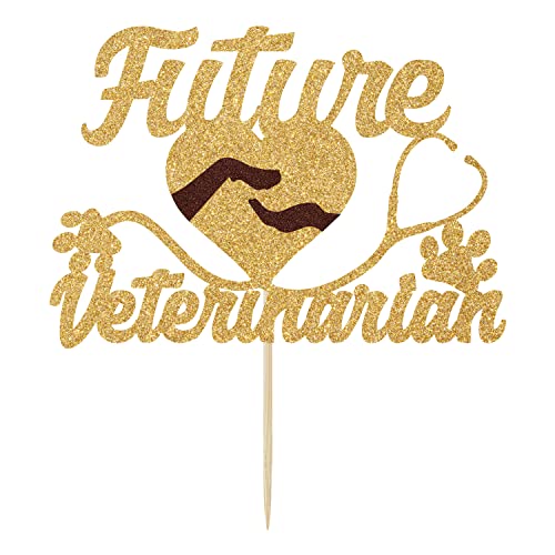 Future Veterinarian Cake Topper, Congrats Vet, Future Vet, Medical School Grad Decorations, Congrats Grad - image 2