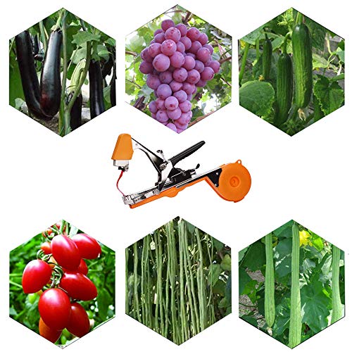Miniatura 7 de Yolando Maquina Para Atar Tomates, Herramienta De Cinta De Jardín Para Atar Ramas De Plantas, Atadora Agricola Para Atadora De Tomates, Para Viñedo Pepino Uva Fruta Flores Vegetales