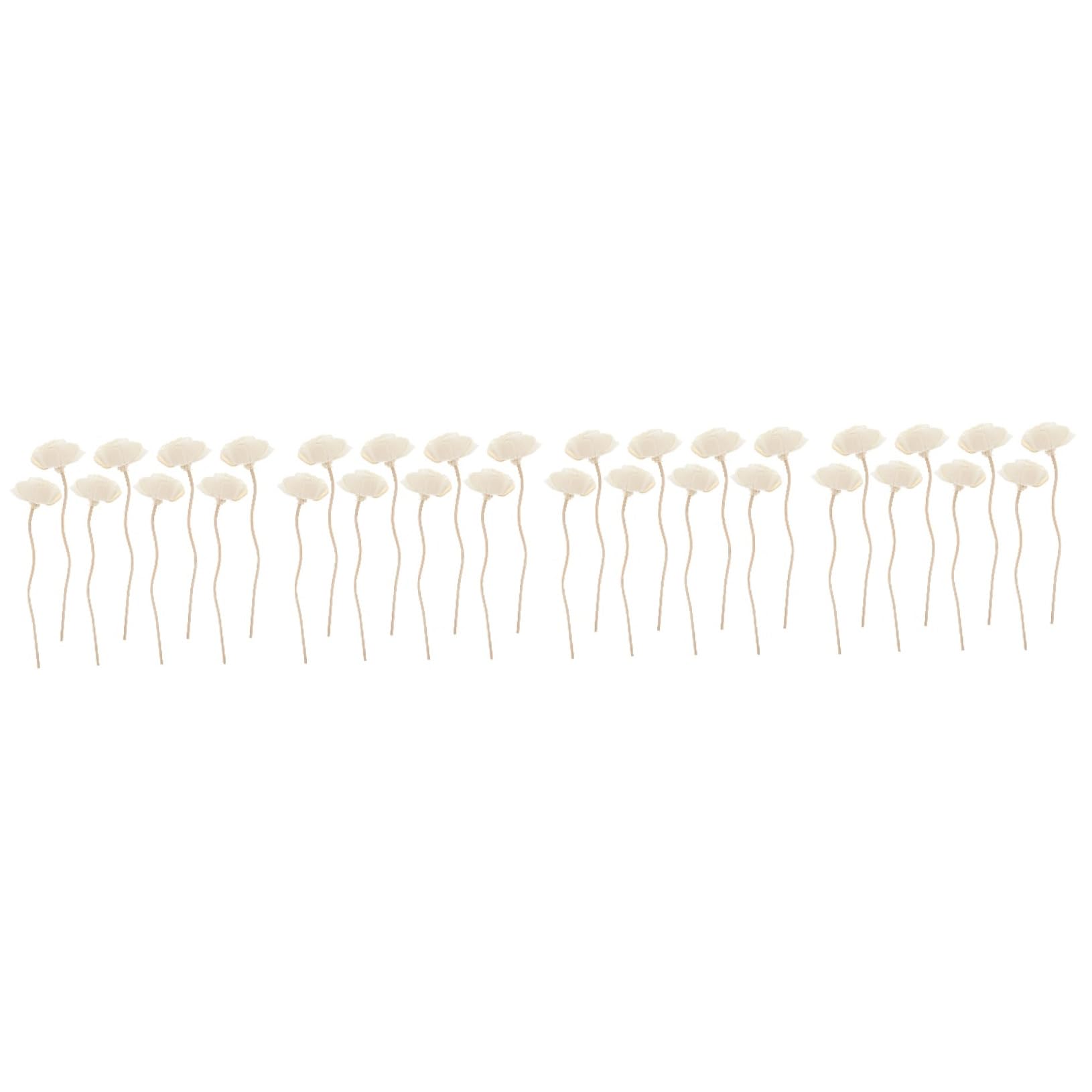 Ciieeo Mikado 32 Piezas Flor De Tong Difusor Aromas Ambientador Natural Aceite Difusores De Aceite Perfumado para Decoración Xherramienta Difusor De Perfume
