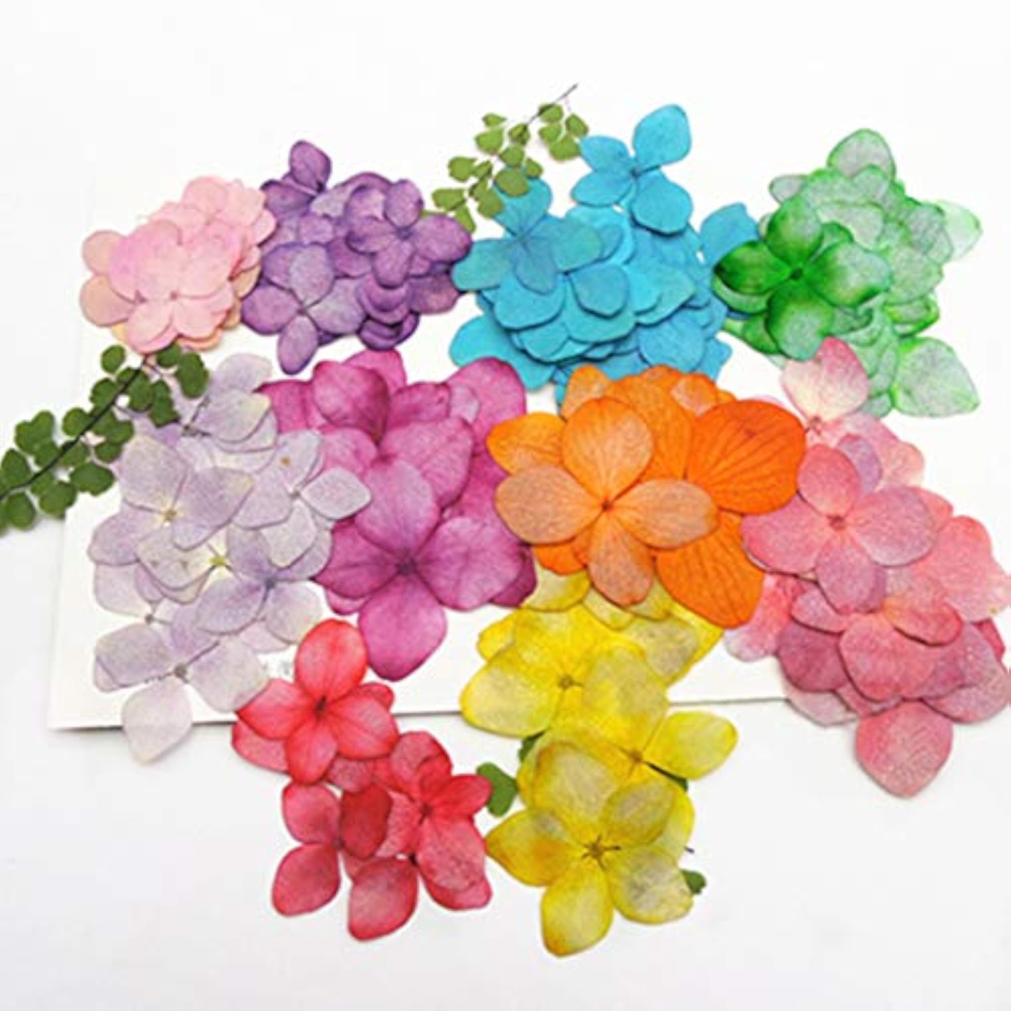 12PCS Pressed Flowers Hydrangea Dried Flowers for Makeup