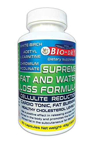 l carnitine wiki Carnitine vs Acetyl Carnitine: What Quality Differences Do They Have?