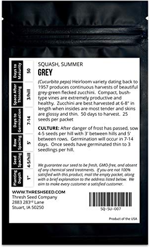 Grey Zucchini - 25 Seeds - Heirloom & Open-Pollinated Variety, Easy-To-Grow, Non-Gmo Vegetable Seeds For Planting Outdoors In The Home Garden, Thresh Seed Company #TOP3