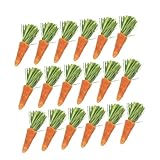 Palitos masticables para conejos: hechos de material seguro y de , su pequeña mascota puede usarlos con confianza, hámster masticando zanahoria
