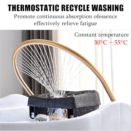 Removable Head Spa Shampoo Basin, Mobile Water Circulation Shampoo Basin with Water Storage System, Portable Commercial Massage Shampoo Bed Basin,Black-Fumigation+watertank - Image 3