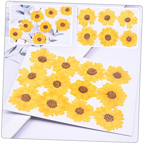 Flores Secas Decorativas para Manualidades DIY miniatura 3