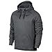 Nike Men's Therma Training Hoodie Carbon Heather/Black Size Large