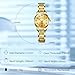 RORIOS Reloj Señoras Mecánico Relojes de Pulsera Elegante para Mujer Reloj Minimalista Automático Reloj Moda Acero Inoxidable Reloj Luminoso Calendario Oro Imagen de RORIOS Reloj Señoras Mecánico Relojes de Pulsera Elegante para Mujer Reloj Minimalista Automático Reloj Moda Acero Inoxidable Reloj Luminoso Calendario Oro