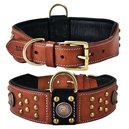 Cupola Series Handmade Dog Collar
