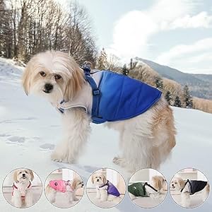 Gyuzh-Dog-Harness-Coat-Winter-Dog-Coat-Jacket-Vest-Clothes-Color-Changing-Dog-Coat-Dog-Jackets-Waterproof-Dog-Coats-with-Reflective-Harness-for-Small-Medium-Large-Dogs-Medium-Blue - Cucciolini Doodles   Gyuzh-Dog-Harness-Coat-Winter-Dog-Coat-Jacket-Vest-Clothes-Color-Changing-Dog-Coat-Dog-Jackets-Waterproof-Dog-Coats-with-Reflective-Harness-for-Small-Medium-Large-Dogs-Medium-Blue
