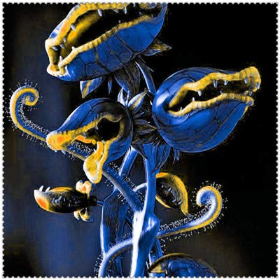 150 pezzi in un vaso Insettivori Clip per semi Dionaea muscipula gigante Venere acchiappamosche per la casa Giardino: 3