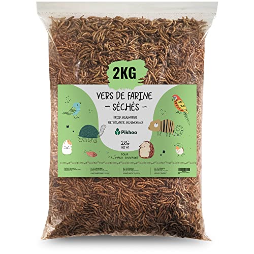vers de Farine Séchés | 2kg | Insectes Comestibles vers de Farine pour Oiseaux du Ciel Insectes séchés Nourriture Oiseaux Exterieur