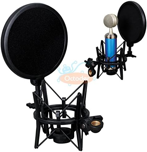 Professional Audio Condenser Mic Studio Sound Recording W Shock Microphone Mount