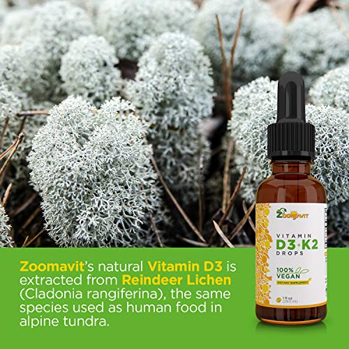 Zoomavit Vegan Liquid Drops Vitamin D3 K2 (Mk7) - 100% Plant Based Liquid Vitamin D Enhanced With Coconut Oil For Max Absorption - 1 Serving = 1000 Iu Vit D3 And 200 Mcg Vit K2 #TOP5