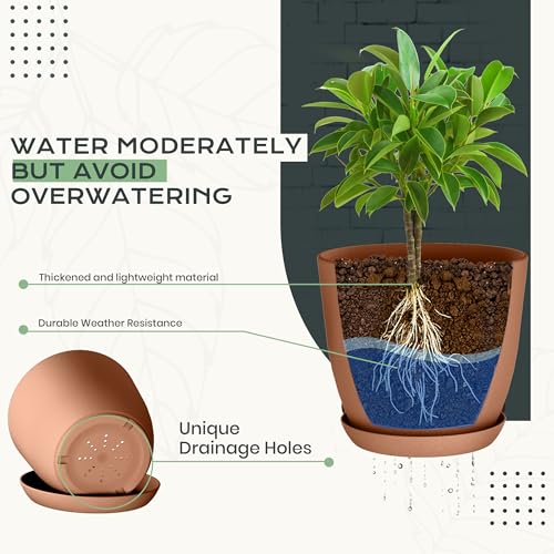 image for Utopia Home - Plant Pots Indoor with Drainage - 7/6.6/6/5.3/4.8 Inches