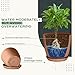 Utopia Home - Plant Pots Indoor with Drainage - 7/6.6/6/5.3/4.8 Inches Home Decor Flower Pots - Plastic Planters for Indoor Plants, Cactus, Succulents Pot (Terracotta, Pack of 10)
