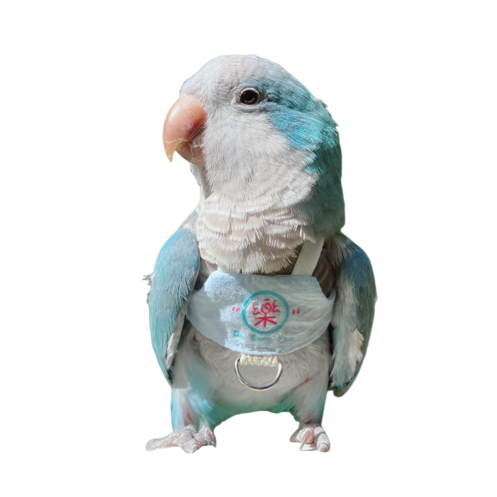 Bird Flight Harness Vest, Parrot Flight Suit with Leash, Bird Flying Clothes with Rope and Handle for Outdoor Activities (S)