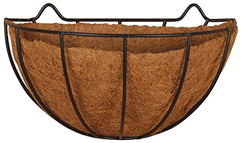 Fallen Fruits Ltd - Fioriera da parete piccola colore: nero