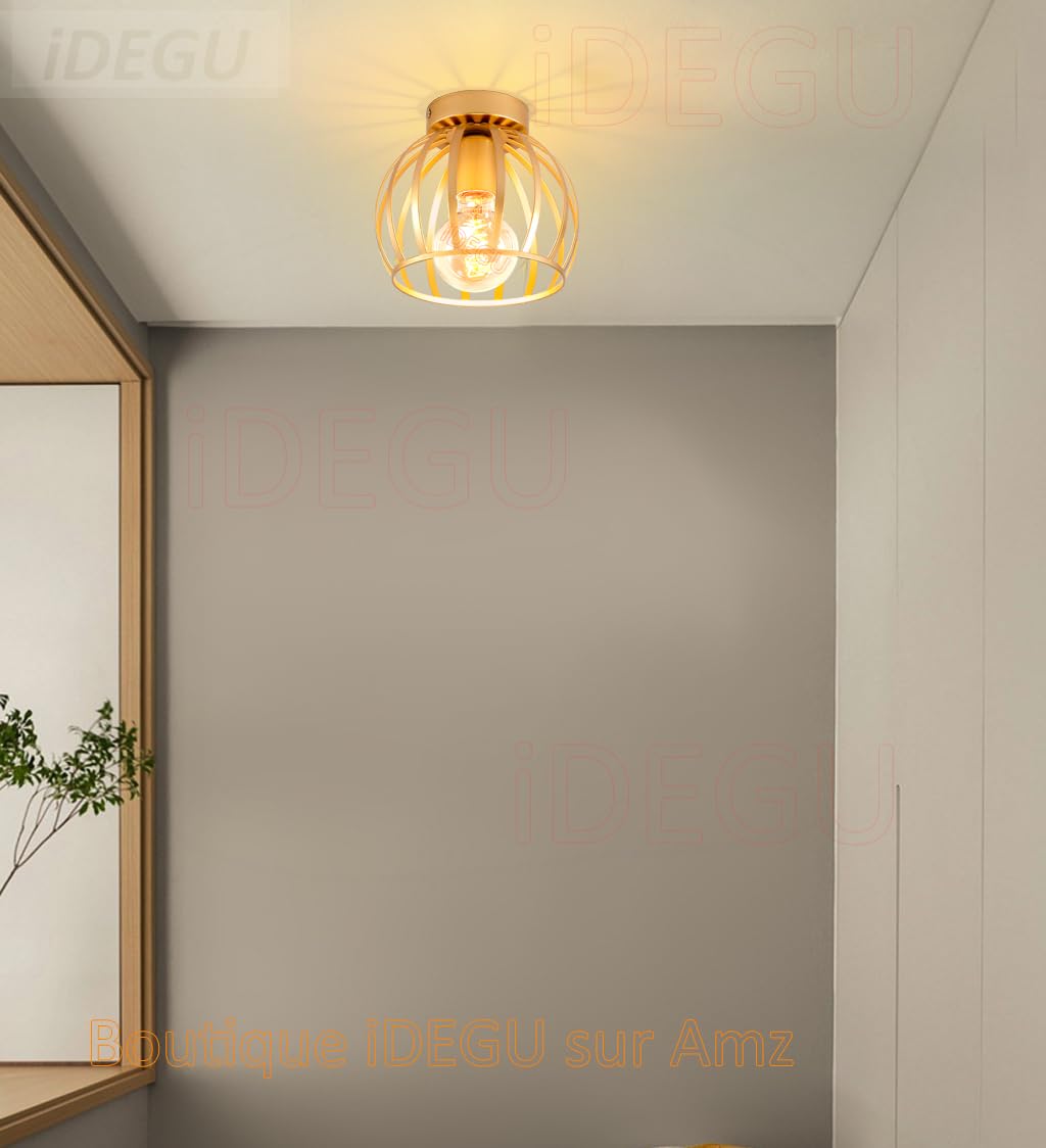 Jago - Ronde Industriële Plafondlamp met Lampenkap - 31cm Metaal