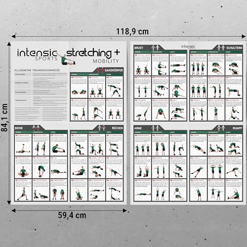 intensic SPORTS Póster Estiramiento + Movility | 60 ejercicios de fitness para estiramiento y movilidad, más movilidad sin dispositivo para gimnasio en casa, peso corporal - imagen 2