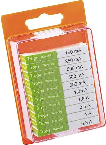 ESKA 122.850 122850 Feinsicherung-Sortiment (Ø x L) 5 mm x 20 mm Träge -T- Inhalt 100 St.