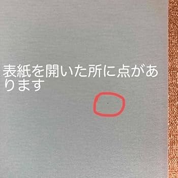 Amazon.co.jp: 西日本新聞 「福岡100年 写真集」 福岡県の歴史