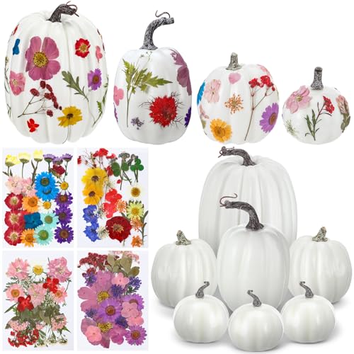 Kit de decoración otoño Halloween con 7 calabazas y 100 flores secas miniatura 1