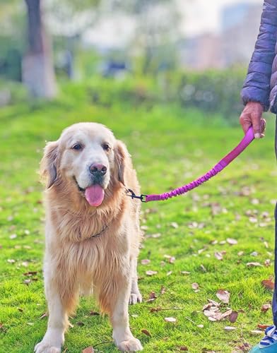 Mycicy Bungee Dog Leash Extender, 21\" Shock Absorbing Leash Extension with Traffic Handle for Dogs, Works with Any Lead, Reflective & 6 Colors- Pink - Thumbnail 4