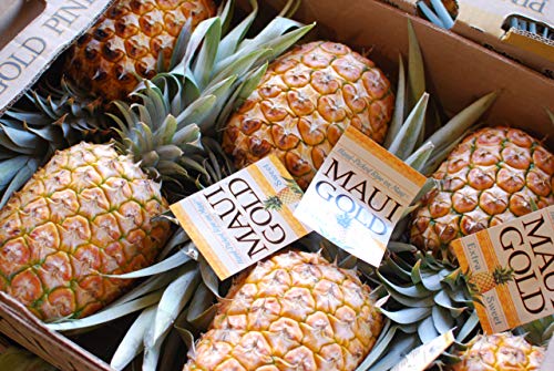 Maui Gold Pineapple (7 Pack) - Thumbnail 5
