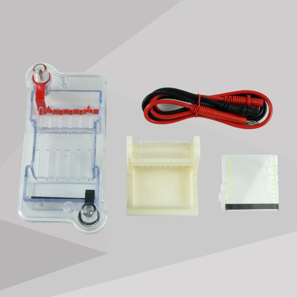 XIAOJUN Tanque de Electroforesis Horizontal para Educación y Biología