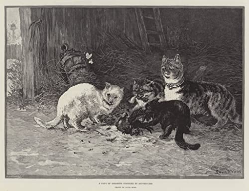 A Gang of Assassins Louis Wain poster grand format pour habiller un mur vide facilement