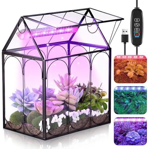 Meonum Tiny Glass Terrarium Kit with Grow Light Venus Fly Trap Terrarium with Absorbent Mat Timer&3 Light Modes for Succulent Live Air Plants Indoor Home Office Decor (7.1x 4.7x 8.7 USB Powered)