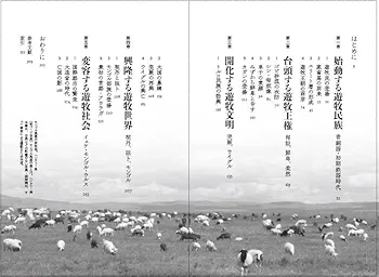 蒙古　モンゴル　青史演義 71HkssjWGsL._UF350,