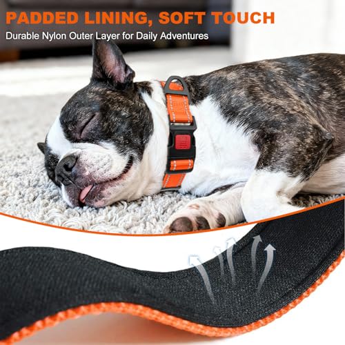 Image of Taglory Reflective Dog Collar for Medium Dogs, Padded Nylon with Buckle