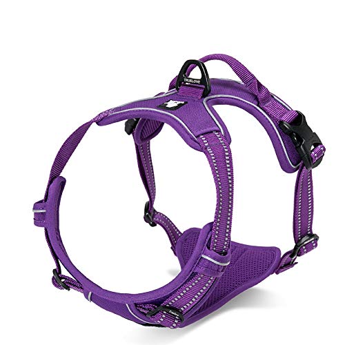WINHYEPET Truelove Hundegeschirr No-Pull Reflektierendes verstellbar Haustiergeschirr mit 2 Leinenclips, einfachem Steuergriff für kleine, zum mittelgroße und große Hunde, TLH5651