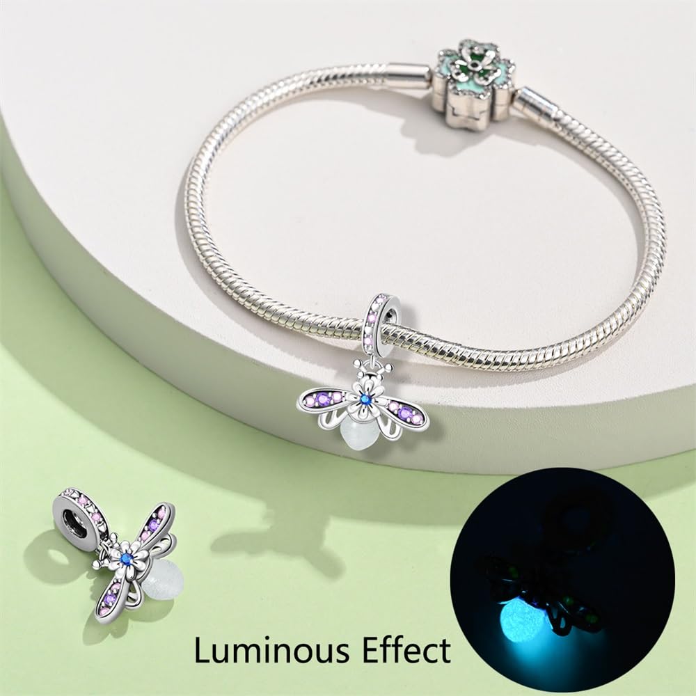 HappyStar Wisiorek charms ze srebra próby 925 do bransoletek, wisiorek typu charms, dla kobiet, kompatybilny z europejskimi bransoletkami i łańcuszkami Pandora (z koralikami dystansowymi