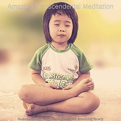 Shakuhachi and Harp Background for Breathing Slowly de Amazing