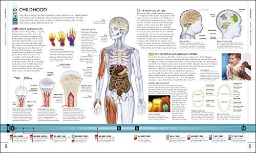 The Human Body Book