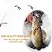 Dr.Fish 40-Pieces Ice Fishing Rod and Reel Combo, Ice Fishing Pole Gear Spinning Reel Equipment Set Backpack Chair Jigs Lures Accessories