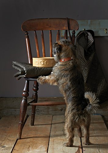 Mason Cash Gamelle pour Chien Inscription Dog – Image 6