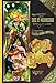 Girl Genius Volume 12: Siege of Mechanicsburg TP (Girl Genius (Paperback))