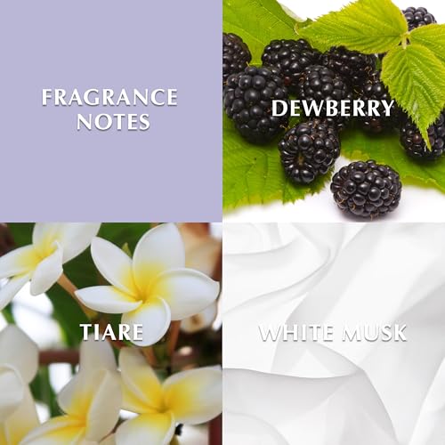 Elizabeth Taylor Perfumes marca Elizabeth Taylor (2)