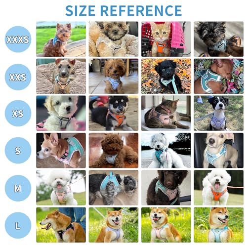 AIITLE Arnés y Correa para Perros, arnés antitirones para Cachorros con Malla súper Transpirable, para Paseos al Aire Libre para Perros pequeños, Gatos, Marrón-Beige XS - imagen 2