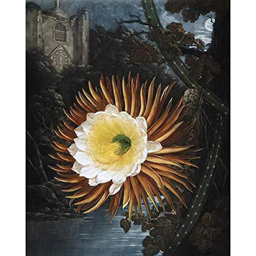 Diamant peinture sombre château de nuit : broderie mosaïque 5D en résine