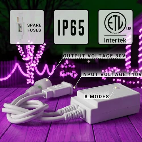 Image of 20ft Rope Lights For Outside, Connectable & Flexible Tube Lights with 8 Modes Controller, Waterproof Purple LED Rope Lighting for Deck,Garden,Pool,Patio,Bedroom,Party,Indoor & Outdoor Landscape